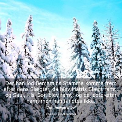 Picture 03 - 1 Samuel 10:21 DA1871 - Der han lod Benjamins Stamme komme frem efter - Bible Verse Picture