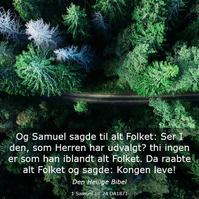 Picture 03 - 1 Samuel 10:24 DA1871 - Og Samuel sagde til alt Folket: Ser I den, som - Bible Verse Picture