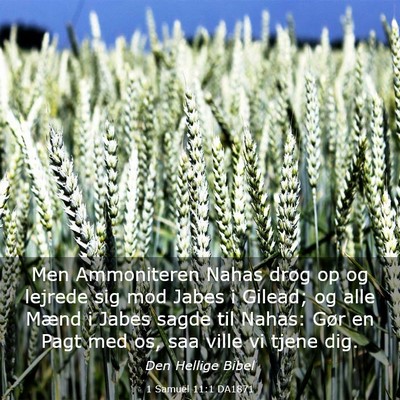 Picture 03 - 1 Samuel 11:1 DA1871 - Men Ammoniteren Nahas drog op og lejrede sig mod - Bible Verse Picture