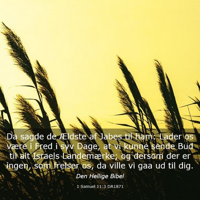 Picture 03 - 1 Samuel 11:3 DA1871 - Da sagde de Ældste af Jabes til ham: Lader os - Bible Verse Picture
