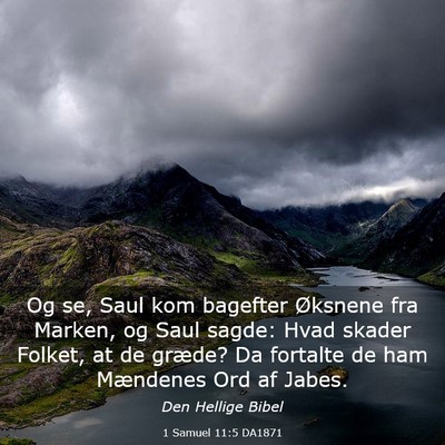 Picture 03 - 1 Samuel 11:5 DA1871 - Og se, Saul kom bagefter Øksnene fra Marken, og - Bible Verse Picture