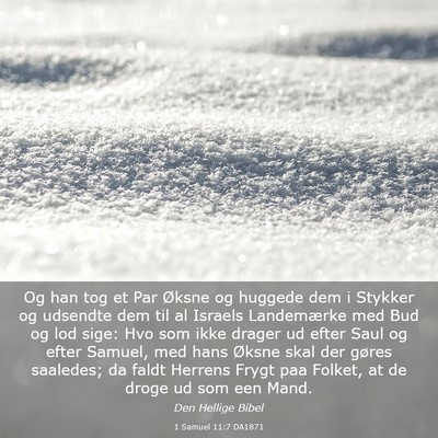 Picture 03 - 1 Samuel 11:7 DA1871 - Og han tog et Par Øksne og huggede dem i Stykker - Bible Verse Picture