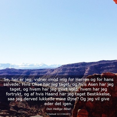 Picture 03 - 1 Samuel 12:3 DA1871 - Se, her er jeg, vidner imod mig for Herren og for - Bible Verse Picture