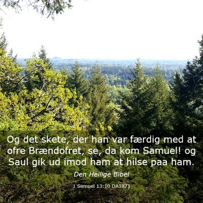Picture 03 - 1 Samuel 13:10 DA1871 - Og det skete, der han var færdig med at ofre - Bible Verse Picture