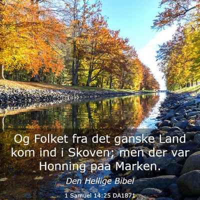 Picture 03 - 1 Samuel 14:25 DA1871 - Og Folket fra det ganske Land kom ind i Skoven; - Bible Verse Picture