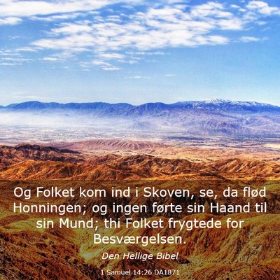 Picture 03 - 1 Samuel 14:26 DA1871 - Og Folket kom ind i Skoven, se, da flød - Bible Verse Picture