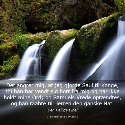 Picture 03 - 1 Samuel 15:11 DA1871 - Det angrer mig, at jeg gjorde Saul til Konge, thi - Bible Verse Picture
