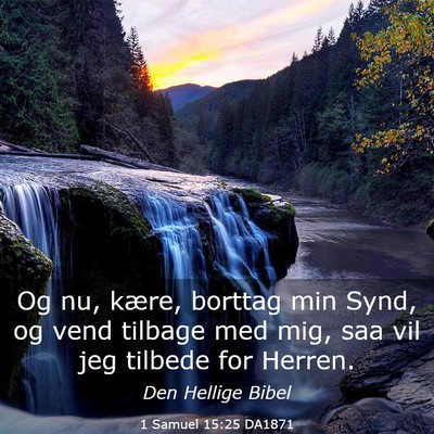 Picture 03 - 1 Samuel 15:25 DA1871 - Og nu, kære, borttag min Synd, og vend tilbage - Bible Verse Picture