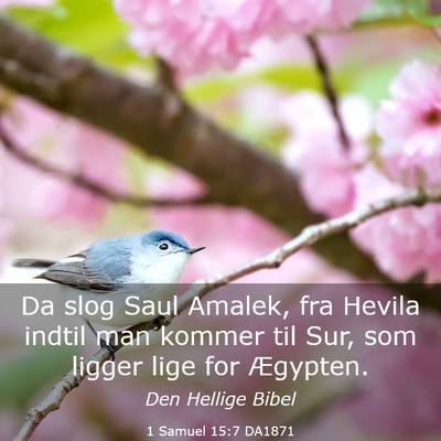 Picture 03 - 1 Samuel 15:7 DA1871 - Da slog Saul Amalek, fra Hevila indtil man kommer - Bible Verse Picture