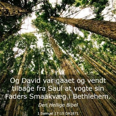 Picture 03 - 1 Samuel 17:15 DA1871 - Og David var gaaet og vendt tilbage fra Saul at - Bible Verse Picture