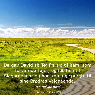Picture 03 - 1 Samuel 17:22 DA1871 - Da gav David sit Tøj fra sig til ham, som - Bible Verse Picture