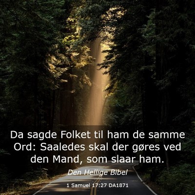 Picture 03 - 1 Samuel 17:27 DA1871 - Da sagde Folket til ham de samme Ord: Saaledes - Bible Verse Picture