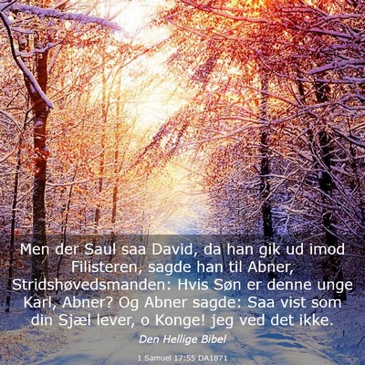 Picture 03 - 1 Samuel 17:55 DA1871 - Men der Saul saa David, da han gik ud imod - Bible Verse Picture