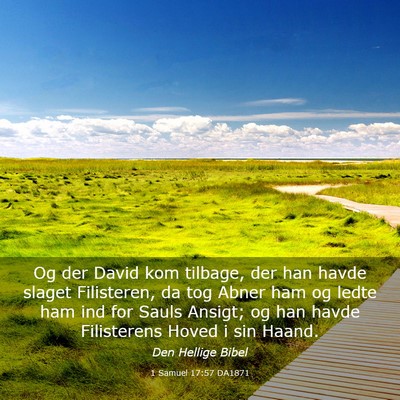 Picture 03 - 1 Samuel 17:57 DA1871 - Og der David kom tilbage, der han havde slaget - Bible Verse Picture