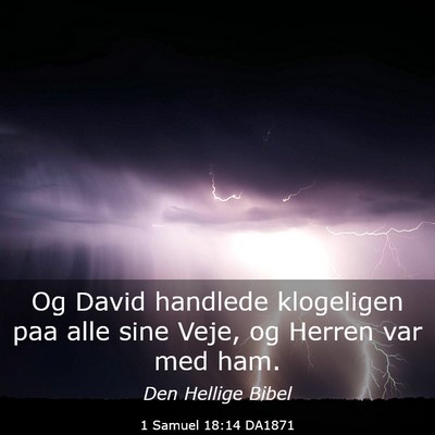Picture 03 - 1 Samuel 18:14 DA1871 - Og David handlede klogeligen paa alle sine Veje, - Bible Verse Picture