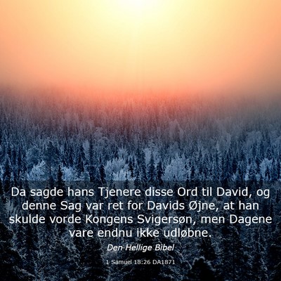 Picture 03 - 1 Samuel 18:26 DA1871 - Da sagde hans Tjenere disse Ord til David, og - Bible Verse Picture