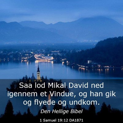 Picture 03 - 1 Samuel 19:12 DA1871 - Saa lod Mikal David ned igennem et Vindue, og han - Bible Verse Picture