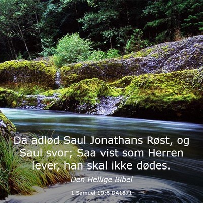 Picture 03 - 1 Samuel 19:6 DA1871 - Da adlød Saul Jonathans Røst, og Saul svor; Saa - Bible Verse Picture