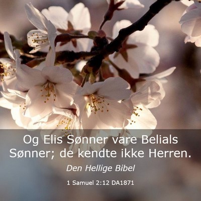 Picture 03 - 1 Samuel 2:12 DA1871 - Og Elis Sønner vare Belials Sønner; de kendte - Bible Verse Picture