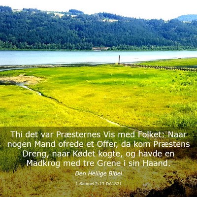 Picture 03 - 1 Samuel 2:13 DA1871 - Thi det var Præsternes Vis med Folket: Naar - Bible Verse Picture