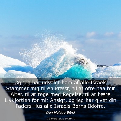 Picture 03 - 1 Samuel 2:28 DA1871 - Og jeg har udvalgt ham af alle Israels Stammer - Bible Verse Picture