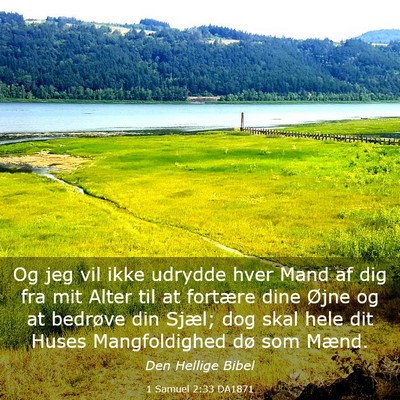 Picture 03 - 1 Samuel 2:33 DA1871 - Og jeg vil ikke udrydde hver Mand af dig fra mit - Bible Verse Picture