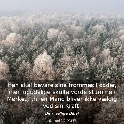 Picture 03 - 1 Samuel 2:9 DA1871 - Han skal bevare sine frommes Fødder, men - Bible Verse Picture