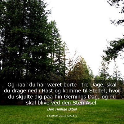 Picture 03 - 1 Samuel 20:19 DA1871 - Og naar du har været borte i tre Dage, skal du - Bible Verse Picture