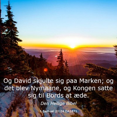 Picture 03 - 1 Samuel 20:24 DA1871 - Og David skjulte sig paa Marken; og det blev - Bible Verse Picture