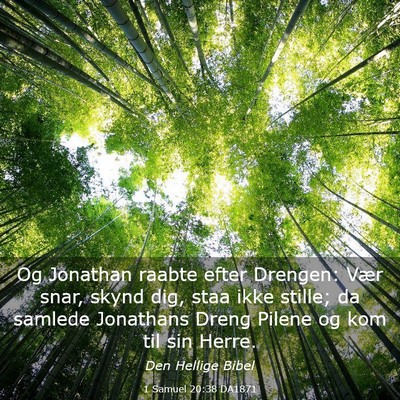 Picture 03 - 1 Samuel 20:38 DA1871 - Og Jonathan raabte efter Drengen: Vær snar, - Bible Verse Picture