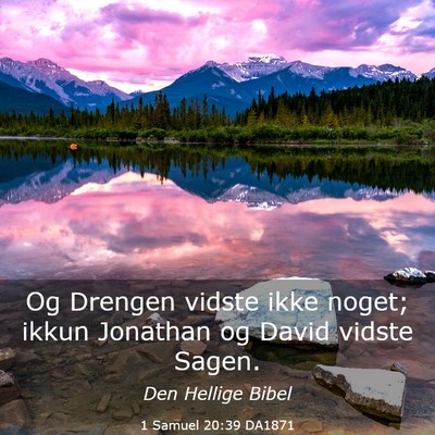 Picture 03 - 1 Samuel 20:39 DA1871 - Og Drengen vidste ikke noget; ikkun Jonathan og - Bible Verse Picture