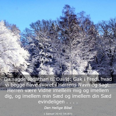 Picture 03 - 1 Samuel 20:42 DA1871 - Da sagde Jonathan til David: Gak i Fred! hvad vi - Bible Verse Picture