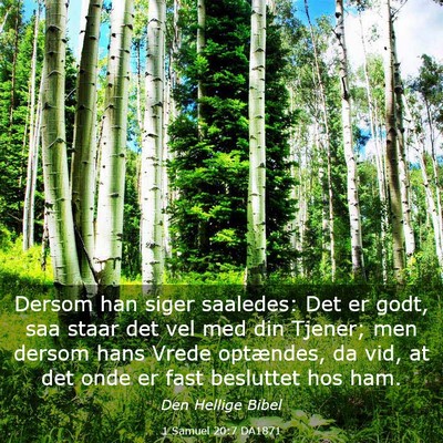 Picture 03 - 1 Samuel 20:7 DA1871 - Dersom han siger saaledes: Det er godt, saa staar - Bible Verse Picture