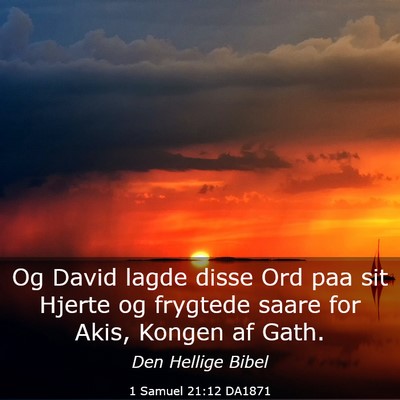 Picture 03 - 1 Samuel 21:12 DA1871 - Og David lagde disse Ord paa sit Hjerte og - Bible Verse Picture