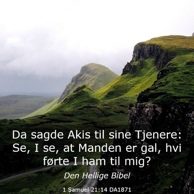 Picture 03 - 1 Samuel 21:14 DA1871 - Da sagde Akis til sine Tjenere: Se, I se, at - Bible Verse Picture