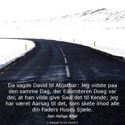 Picture 03 - 1 Samuel 22:22 DA1871 - Da sagde David til Abjathar: Jeg vidste paa den - Bible Verse Picture