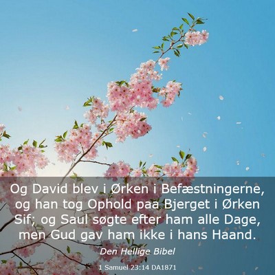 Picture 03 - 1 Samuel 23:14 DA1871 - Og David blev i Ørken i Befæstningerne, og han - Bible Verse Picture