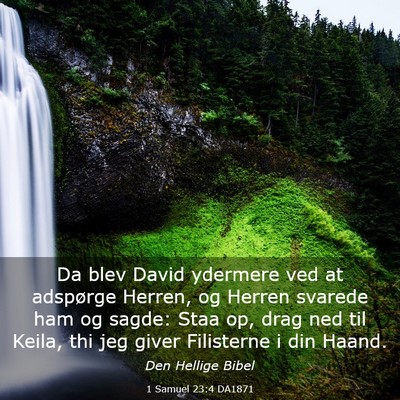Picture 03 - 1 Samuel 23:4 DA1871 - Da blev David ydermere ved at adspørge Herren, - Bible Verse Picture