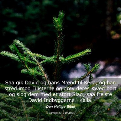 Picture 03 - 1 Samuel 23:5 DA1871 - Saa gik David og hans Mænd til Keila, og han - Bible Verse Picture