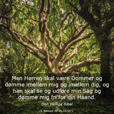 Picture 03 - 1 Samuel 24:16 DA1871 - Men Herren skal være Dommer og dømme imellem - Bible Verse Picture