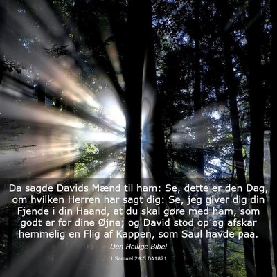 Picture 03 - 1 Samuel 24:5 DA1871 - Da sagde Davids Mænd til ham: Se, dette er den - Bible Verse Picture