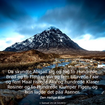 Picture 03 - 1 Samuel 25:18 DA1871 - Da skyndte Abigail sig og tog to Hundrede Brød - Bible Verse Picture