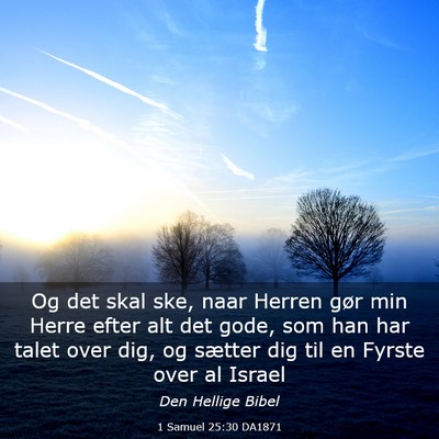 Picture 03 - 1 Samuel 25:30 DA1871 - Og det skal ske, naar Herren gør min Herre efter - Bible Verse Picture