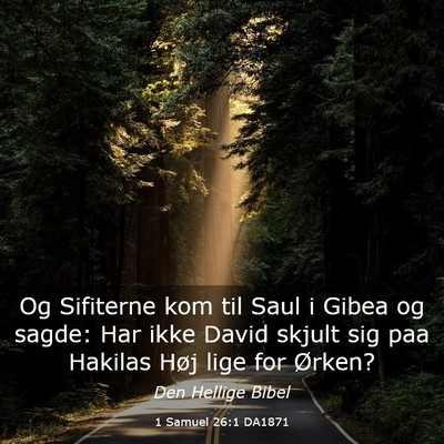 Picture 03 - 1 Samuel 26:1 DA1871 - Og Sifiterne kom til Saul i Gibea og sagde: Har - Bible Verse Picture