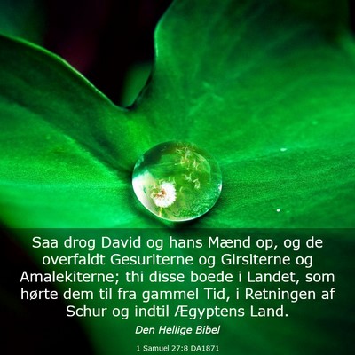 Picture 03 - 1 Samuel 27:8 DA1871 - Saa drog David og hans Mænd op, og de overfaldt - Bible Verse Picture
