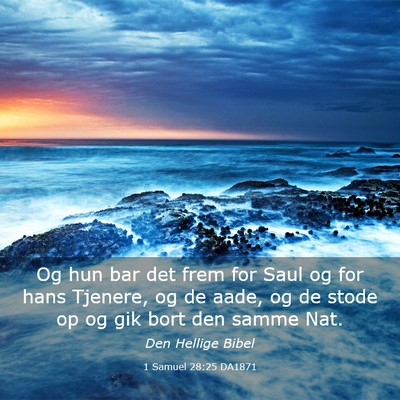 Picture 03 - 1 Samuel 28:25 DA1871 - Og hun bar det frem for Saul og for hans Tjenere, - Bible Verse Picture