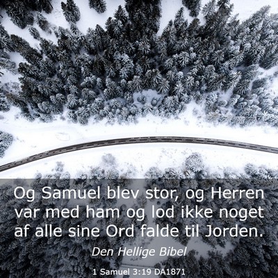 Picture 03 - 1 Samuel 3:19 DA1871 - Og Samuel blev stor, og Herren var med ham og lod - Bible Verse Picture