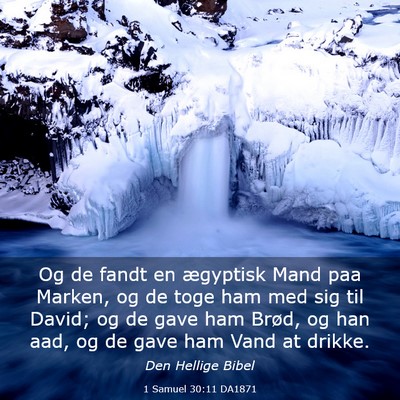 Picture 03 - 1 Samuel 30:11 DA1871 - Og de fandt en ægyptisk Mand paa Marken, og de - Bible Verse Picture