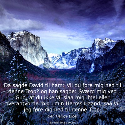 Picture 03 - 1 Samuel 30:15 DA1871 - Da sagde David til ham: Vil du føre mig ned til - Bible Verse Picture