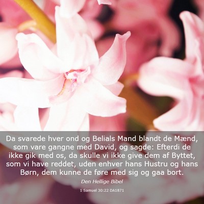 Picture 03 - 1 Samuel 30:22 DA1871 - Da svarede hver ond og Belials Mand blandt de - Bible Verse Picture